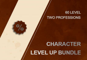 LEVEL UP BUNDLE:  1-60 SPEED POWER LEVEL BOOST  +TWO PROFESSIONS AS A BONUS!  WOW SOM CLASSIC